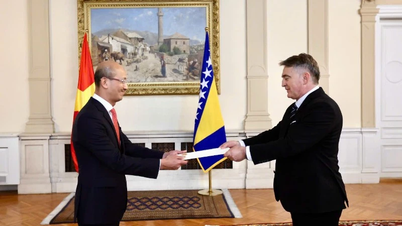 La Bosnie-Herzégovine souhaite promouvoir des relations amicales et une coopération multiforme avec le Vietnam.