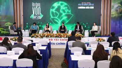 টেকসই উন্নয়নের জন্য তহবিলের উৎসের বৈচিত্র্যকরণ