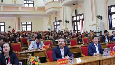 Säkerställa förutsättningarna för lokala myndigheter att effektivt utföra sina uppgifter.