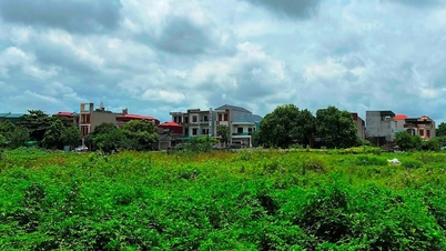 Hai Phong: Thanh Binh kerületben lakó- és kereskedelmi szolgáltató terület építésére kijelölt terület.