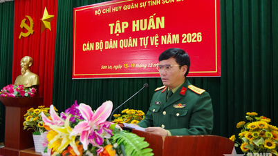 Sơn La: Nâng cao chất lượng cán bộ dân quân tự vệ