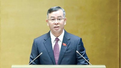 Clearly define responsibilities in implementing audit recommendations.