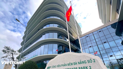 Da Nang sedang bersedia untuk membuka Pejabat Pusat Kewangan Antarabangsa Vietnam.