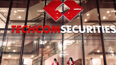 সবেমাত্র জনসমক্ষে আসার পর, টেককমব্যাংক সিকিউরিটিজ একটি ডিজিটাল সম্পদ কোম্পানিতে ১৬৫ বিলিয়ন ভিয়েতনামি ডং বিনিয়োগ করতে চায়।