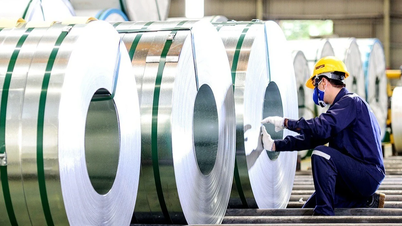 תוכנית פיילוט להקצאת מכסות פליטה: התמודדות עם צמיחה ירוקה ומאבק בשינויי אקלים.