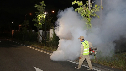 Varsle helsemyndighetene umiddelbart om pasienter som har eller mistenkes for å ha smittsomme sykdommer.