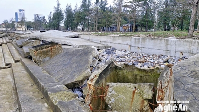 Cua Lo Ward propune un plan de renovare a parcului forestier de la est de drumul Binh Minh pentru a deservi sezonul turistic din 2026.