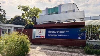 חברת החשמל טיי נין מכריזה על מכרז נכסים.