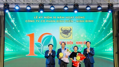 ក្រុមហ៊ុនភាគហ៊ុន Binh Dien - Ninh Binh៖ មួយទសវត្សរ៍នៃ "ការសាបព្រោះទំនុកចិត្ត - ប្រមូលផលបានជោគជ័យ" នៅភាគខាងជើងប្រទេសវៀតណាម