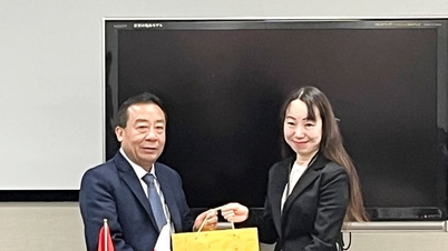 La delegación provincial de Nghe An mantuvo una reunión de trabajo con la Agencia de Cooperación Internacional de Japón (JICA) en Tokio.