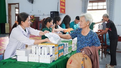 ជប៉ុន​ផ្តល់​ជំនួយ​ចំនួន ១,៥ លាន​ដុល្លារ​អាមេរិក​សម្រាប់​ការ​សង្គ្រោះ​បន្ទាន់ និង​ការ​ស្តារ​ឡើង​វិញ​ពី​គ្រោះ​មហន្តរាយ​នៅ​វៀតណាម។