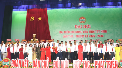 ការកសាងក្រុមមន្ត្រីកសិករដែលយល់ដឹងពីទីផ្សារ និងមានជំនាញខាងបច្ចេកវិទ្យា។