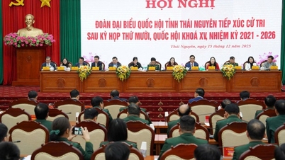 Delegacja przedstawicieli Zgromadzenia Narodowego prowincji Thai Nguyen spotkała się z wyborcami po dziesiątej sesji XV sesji Zgromadzenia Narodowego.
