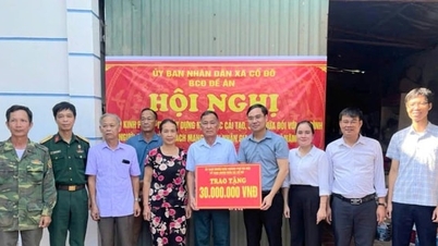 Co Do Commune مضبوط سماجی تحفظ کی بنیاد اور قومی اتحاد کی مضبوطی کی بنیاد پر پائیدار غربت میں کمی حاصل کرتا ہے۔