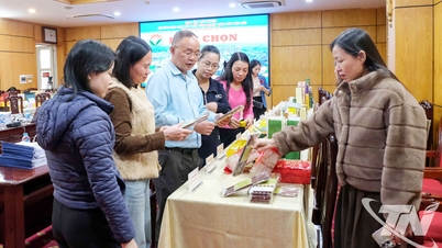تھائی Nguyen: بقایا دیہی صنعتی مصنوعات کے انتخاب کے لیے 43 درخواستیں جمع کرائی گئیں۔
