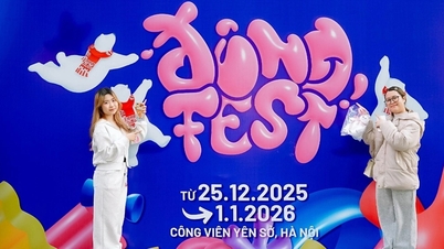 วิธีการค้นหาตั๋วเข้าชมคอนเสิร์ต Dong และเข้าร่วมงานเทศกาล Dong Da Du Day