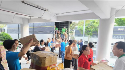 Японія виділяє 1,5 мільйона доларів США на ліквідацію наслідків стихійного лиха та відновлення у В'єтнамі.