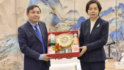 គណៈប្រតិភូមកពីខេត្តដុងថាប (Dong Thap) ទស្សនកិច្ច និងធ្វើការនៅខេត្តហឺណាន (ប្រទេសចិន)។