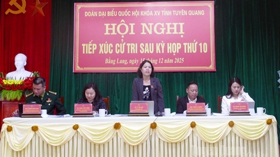 Delegasi timbalan Dewan Undangan Negeri penggal ke-15 telah bertemu dengan pengundi selepas sesi ke-10 di komune Bang Lang.