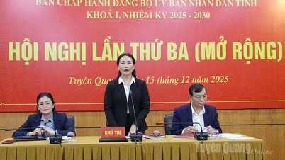 3. (rozšířená) konference výkonného výboru stranického výboru provinčního lidového výboru