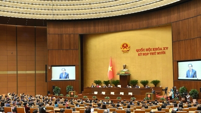 ទទួលពាក្យស្នើសុំឈរឈ្មោះជាសមាជិករដ្ឋសភានីតិកាលទី១៦ និងក្រុមប្រឹក្សាប្រជាជនទីក្រុងហូជីមិញសម្រាប់អាណត្តិ២០២៦-២០៣១។