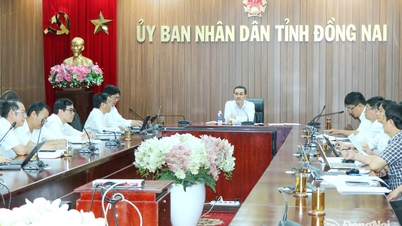 Menyelaras usaha untuk mempercepatkan kemajuan zon teknologi maklumat dan inovasi yang tertumpu.