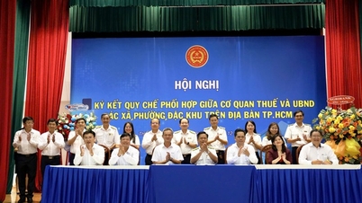 Ho Chi Minh Şehri, ev işletmelerinin yönetimini güçlendiriyor.