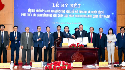 Tay Ninh membangunkan ekosistem teknologi untuk kenderaan udara tanpa pemandu (UAV).