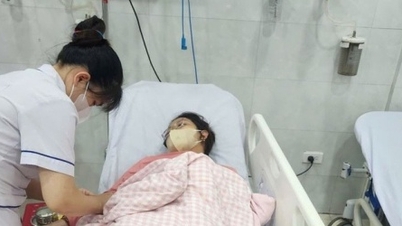 स्वास्थ्य मंत्रालय ने क्वांग न्गाई में ब्रेड में जहर मिलाने की घटना के पीड़ितों के लिए सुराग जुटाने की मांग की है।