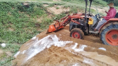 Hoa Hiep Ward announces the end of the African swine fever outbreak.