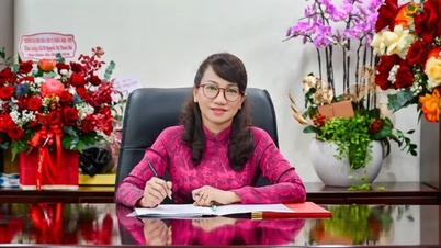 La Sra. Nguyen Thi Thanh Mai ha sido nombrada Directora de la Universidad Nacional de Vietnam en Ciudad Ho Chi Minh.