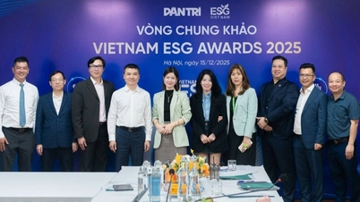 צוות השופטים של פרסי ESG בווייטנאם לשנת 2025 מעריך את הגשות הסיבוב הסופי.