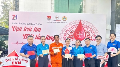 هفته صورتی EVN 2025 - زمانی که قلب‌های صنعت برق به عنوان یک واحد، با اشتراک‌گذاری و بخشش می‌تپند.