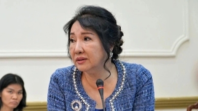 What other connection does Ms. Nguyen Thi Nhu Loan have with Quoc Cuong Gia Lai?