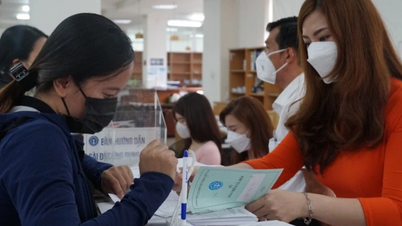 Hoa Binh Construction, Dream House, Ba Huan… owe billions of dong to social insurance.