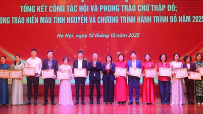 Een 'steunpilaar' voor mensen in moeilijke omstandigheden om uit de armoede te komen.