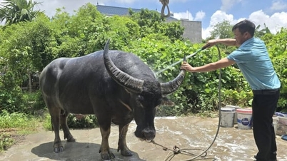 Algıları dönüştüren hayvancılık, turizmle birlikte gelişiyor.