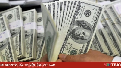 전 세계적인 금리 인하 추진력이 약해지고 있는 걸까요?