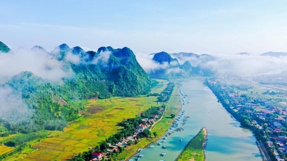 کوانگ تری و سمفونی نفیس چهار فصل.