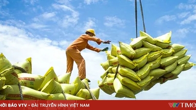 Việt Nam xuất khẩu 7,5 triệu tấn gạo
