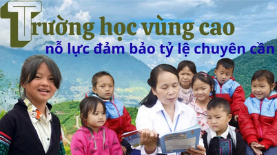 A hegyvidéki területeken található iskolák arra törekszenek, hogy magas legyen a részvételi arány.