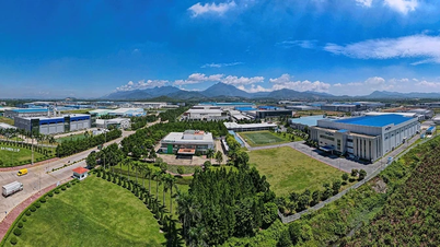 Do 2025 roku prowincja Phu Tho zamierza założyć 4500 nowych przedsiębiorstw.