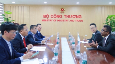Le vice-ministre Nguyen Hoang Long travaille avec l'Agence internationale pour les énergies renouvelables.