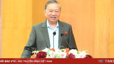 המזכיר הכללי לאם: בתי ספר לא יכולים להפוך למקומות המספקים שירותים למטרות רווח.