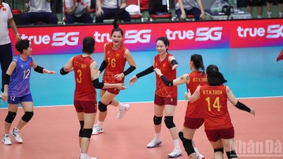 El equipo femenino de voleibol de Vietnam perdió por poco la medalla de oro tras una ajustada derrota ante Tailandia.