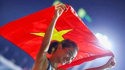 Medallero de los SEA Games 33 al 15 de diciembre: Vietnam cuenta con 40 medallas de oro.