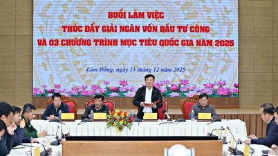 Розподіл інвестиційного капіталу вимагає повної концентрації зусиль і має виконуватися погодинно.