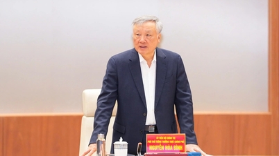 하이퐁은 특별 메커니즘에 관한 결의안 이행에 있어 전국을 선도하고 있습니다.