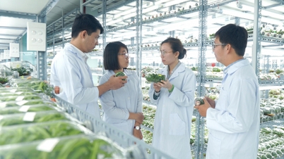 Orașul Ho Și Min face progrese în dezvoltarea raselor de plante și animale.