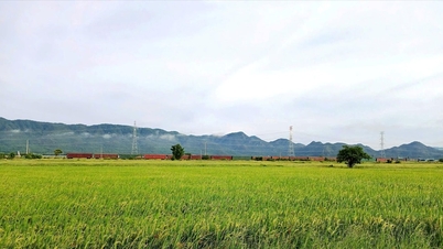 Tuy Phong utnytter sine interne ressurser til å bygge nye landlige områder.